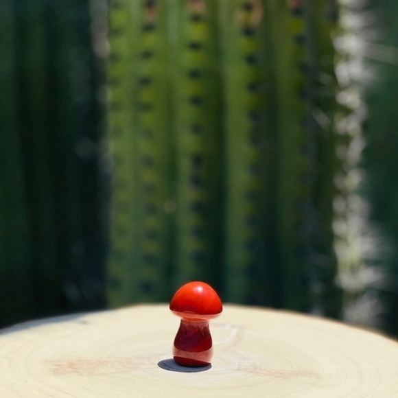 Other - Red aventurine mushroom